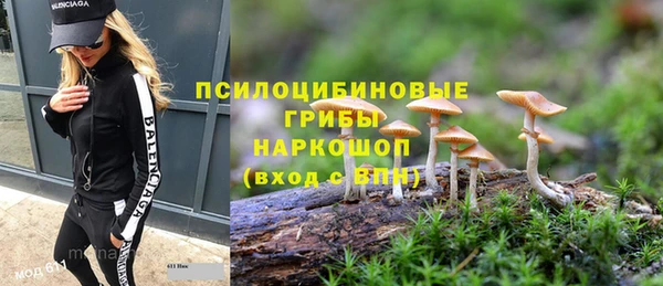 дурь Алексин