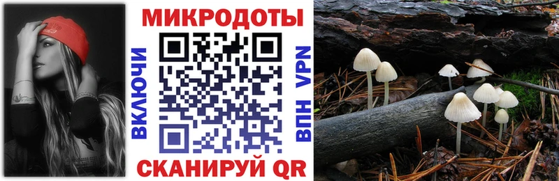 Псилоцибиновые грибы GOLDEN TEACHER  где найти наркотики  ОМГ ОМГ ссылки  Грязи 