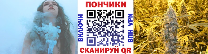 Шишки марихуана THC 21%  дарнет шоп  Грязи 